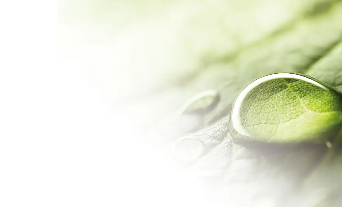 BANNERS-VERDE-1