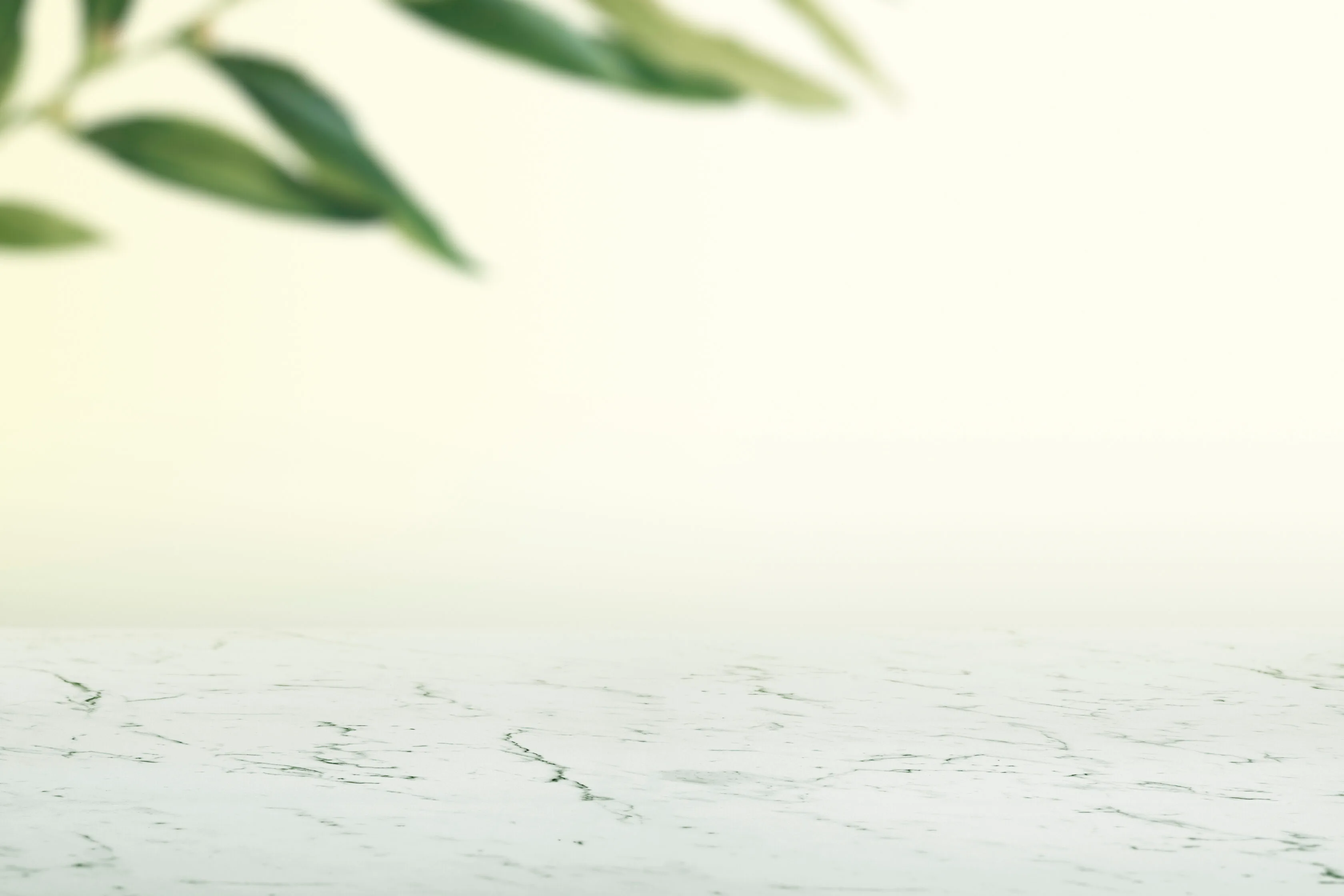 Plain wall with leaves and white marble floor product background